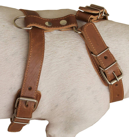 Genuine Leather Dog Harness, 25"-30" Chest, 1" Wide Adjustable Straps for Medium and Large Dogs