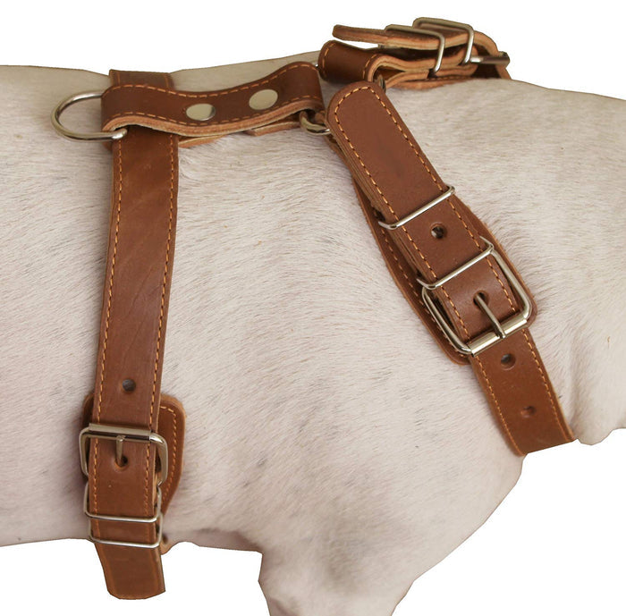Genuine Leather Dog Harness, 25"-30" Chest, 1" Wide Adjustable Straps for Medium and Large Dogs