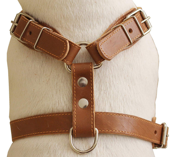 Genuine Leather Dog Harness, 25"-30" Chest, 1" Wide Adjustable Straps for Medium and Large Dogs