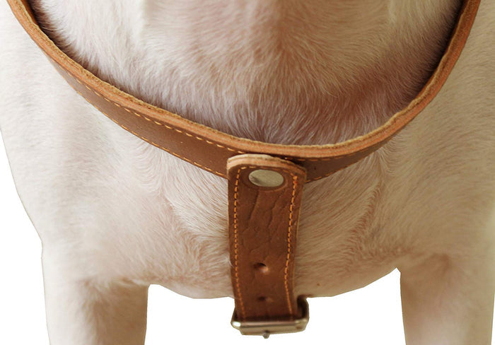 Genuine Leather Dog Harness, 25"-30" Chest, 1" Wide Adjustable Straps for Medium and Large Dogs