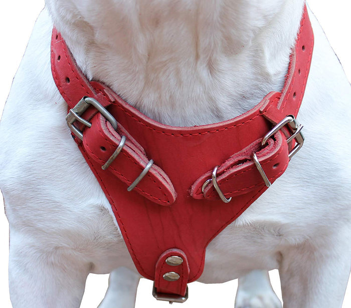 Genuine Leather Dog Harness, 33"-41" Chest, 1" Wide Straps Doberman, Great Dane