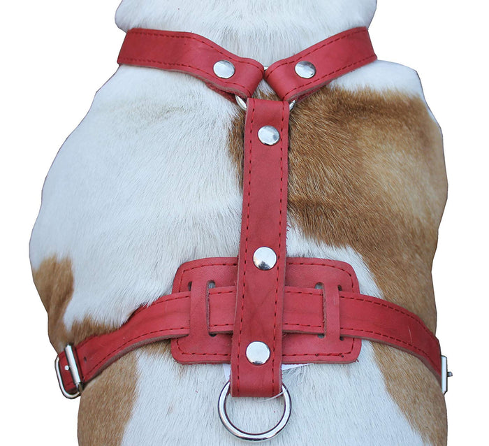 Genuine Leather Dog Harness, 33"-41" Chest, 1" Wide Straps Doberman, Great Dane