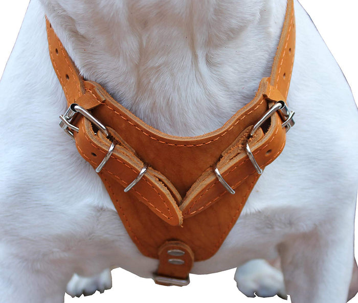 Genuine Leather Dog Harness, 33"-41" Chest, 1" Wide Straps Newfoundland, Great Dane