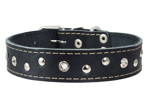 Genuine Leather Studded Dog Collar, 1.25" Wide. Fits 16"-19" Neck