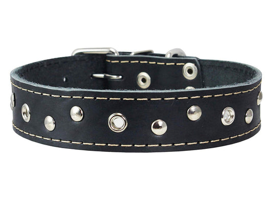 Genuine Leather Studded Dog Collar, 1.25" Wide. Fits 16"-19" Neck