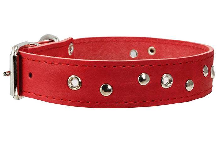 Genuine Leather Studded Dog Collar, 1.25" Wide. Fits 16"-19" Neck