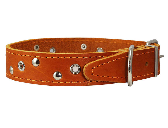 Genuine Leather Studded Dog Collar, 1.25" Wide. Fits 16"-19" Neck