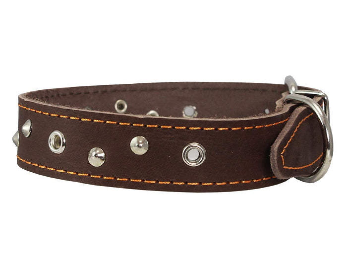 Genuine Leather Studded Dog Collar, 1.25" Wide. Fits 16"-19" Neck