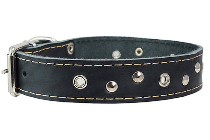 Genuine Leather Studded Dog Collar, 1.25" Wide. Fits 16"-19" Neck