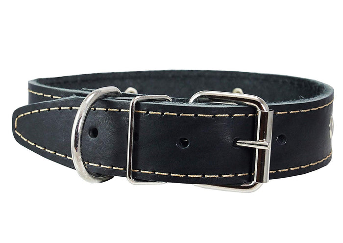 Genuine Leather Studded Dog Collar, 1.25" Wide. Fits 16"-19" Neck