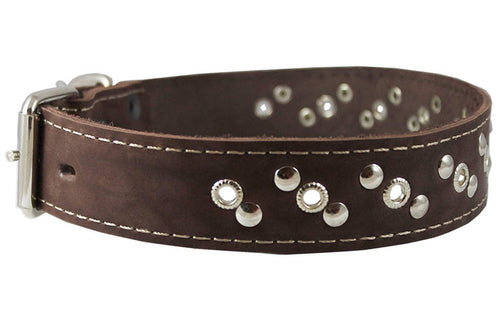 Genuine Leather Studded Dog Collar 22"x1" Brown Fits 15"-19.5" Neck