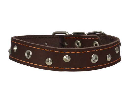 Genuine Leather Studded Dog Collar, Brown, 1" Wide. Fits 13"-17.5" Neck Size