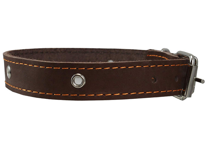 Genuine Leather Studded Dog Collar, Brown, 1" Wide. Fits 13"-17.5" Neck Size