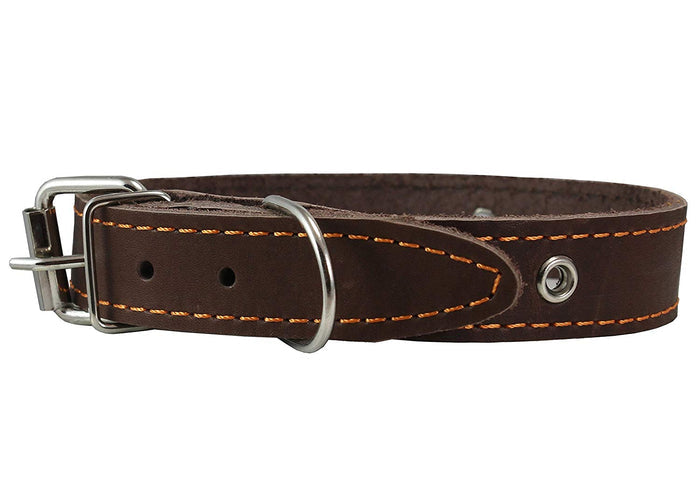 Genuine Leather Studded Dog Collar, Brown, 1" Wide. Fits 13"-17.5" Neck Size