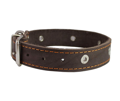 Genuine Leather Studded Dog Collar, Brown, 1.5" Wide. Fits 16"-20" Neck Size Amstaff