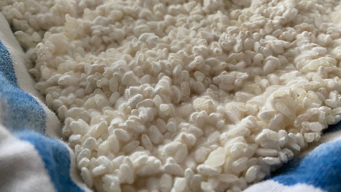 Koji Fermentation Class - Preserved Oakland