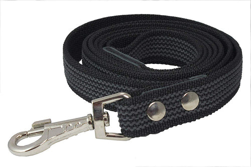 Latex Enforced Dog Leash