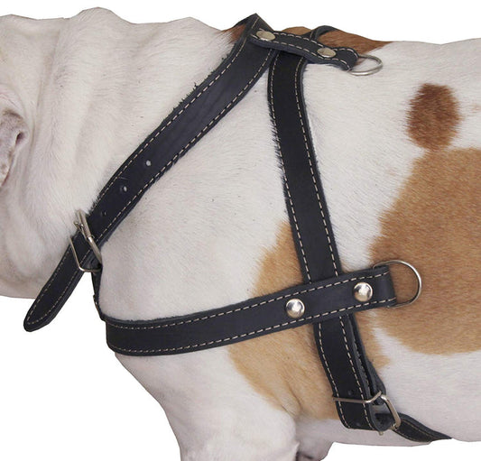 Leather Dog Pulling Walking Harness . 33"-37" Chest, 1" Wide Straps. Pitt Bull, Boxer