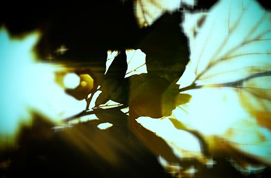 Light Travel 3