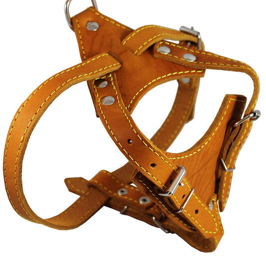 Real Leather Dog Harness, 24.5"-28" Chest size, 3/4" Wide, Brittany Spaniel