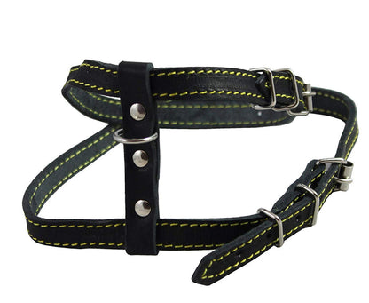 Real Leather Feline Harness, 16"-18.5" Chest, 1/2" Wide, Medium to Large Cats