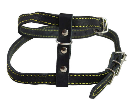 Real Leather Feline Harness, 16"-18.5" Chest, 1/2" Wide, Medium to Large Cats