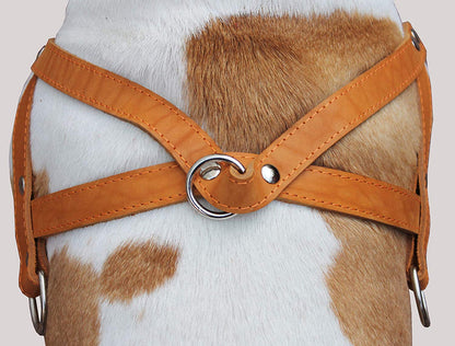 Tan Leather Dog Pulling Walking Harness Large. 31"-35" Chest, 1.5" Wide Straps