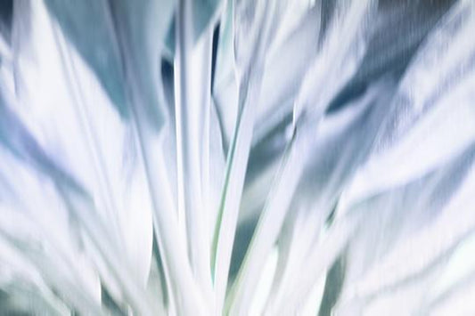 Tropical Flutter II